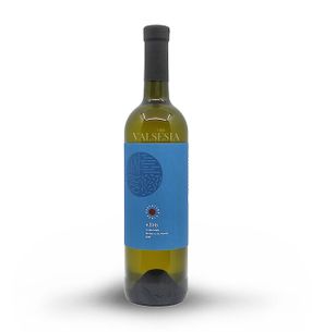 4 ELEMENTS white 2021, selection from grapes, dry, 0.75 l